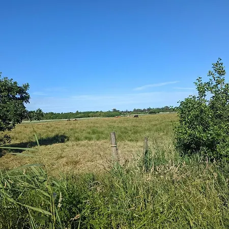 Дом отдыха 6 Person In