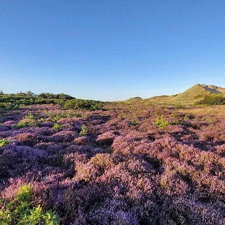 6 Person In Дом отдыха